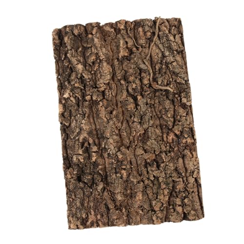 VERDANVERSE Terrarium-champagnerrinde Korkenrinde Reptilienhintergrund Für Terrarium Hintergrund Für Reptilienbecken Fischtankdekoration Reptilienhintergrundbrett Coffee von VERDANVERSE