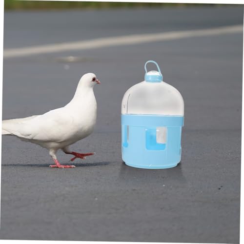 VERDANVERSE Transparenter Plastik Tauben tränke Wiederverwendbarer Vogelkäfig Wasserspender für Haushalt Indoor Vogeltränke Praktischer Wasserspender für Tauben und Ziervögel VERDANVERSE Transparenter Plastik Tauben tränke Wiederverwendbarer Vogelkäfig Wasserspender für Haushalt Indoor Vogeltränke Praktischer Wasserspender für Tauben und Ziervögel von VERDANVERSE