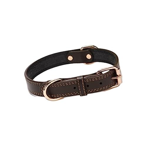 VERDANVERSE Verstellbares Hundehalsband für Mittelgroße und Große Langlebig Bequem und Kreative Dekoration für Haustiere VERDANVERSE Verstellbares Hundehalsband für Mittelgroße und Große Langlebig Bequem und Kreative Dekoration für Haustiere von VERDANVERSE