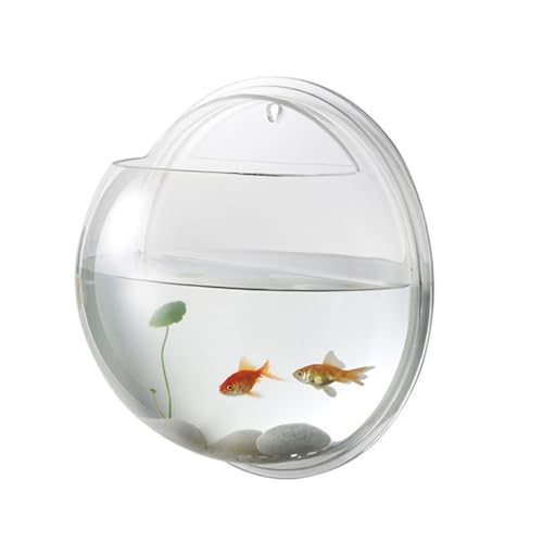 VERDANVERSE Wandmontierter Transparenter Aquarium Fischtank Kreativer Hängender Wassertank für Fische und Pflanzen Platzsparende Wanddekoration für Wohnzimmer Zufällige Farbe von VERDANVERSE