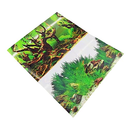 VERDANVERSE Wasserfester Aquarium Hintergrund Aufkleber Doppelseitig Haftend Natürlicher Zweig für Fischbecken und Aufzuchtbecken Langlebiges Blendfreies Folienmaterial VERDANVERSE Wasserfester Aquarium Hintergrund Aufkleber Doppelseitig Haftend Natürlicher Zweig für Fischbecken und Aufzuchtbecken Langlebiges Blendfreies Folienmaterial von VERDANVERSE