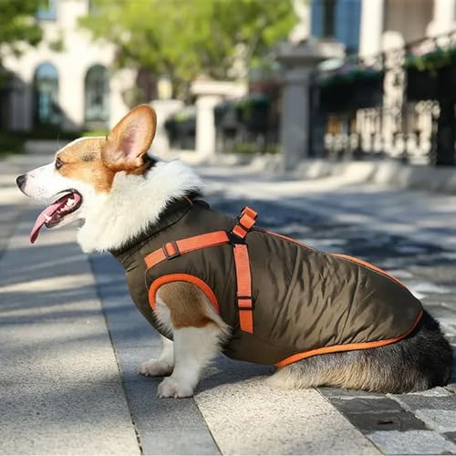 Jacke Haustier Kleidung für kleine Hunde mit Geschirr Winter Warme Weste Mantel von VERIMP