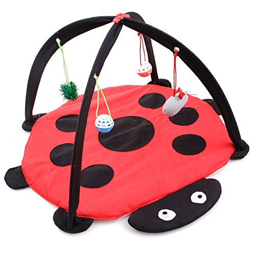 VERTAST Katzen Spielmatte Schlafmatte gepolstertem Zelt – Indoor Kuschelbett rutschfeste Unterlage mit hängenden Spielzeug & Bällen für Aktivität & Entspannung (Red Beetle - 60cm) von VERTAST