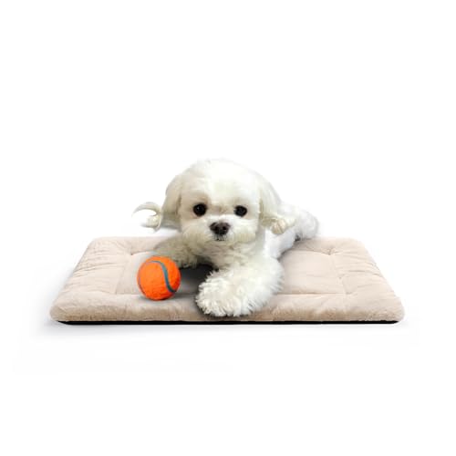 Hundebett-Pad für extra kleine Hunde, passend für Hundekäfige, ultraweiches Hundebett, waschbar und rutschfest, für Hunde, gemütliche Schlafmatte, cremefarben 55,9 cm von VERZEY