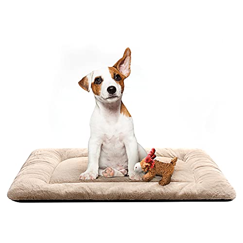 Hundebett-Pad für mittelgroße Hunde, passend für Hundekäfige, aus Metall, ultraweich, waschbar und rutschfest, 76,2 cm, cremefarben von VERZEY