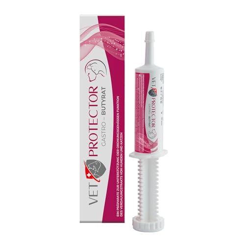 Vet Protector - Professionell Durchfallstopp Paste mit Natriumbutyrat - Unterstützt bei Durchfall - Probiotika Hund - Durchfall Hund - Beruhigt den Magen - Unterstützt Verdauungstrakts - 60 ml von VET PROTECTOR