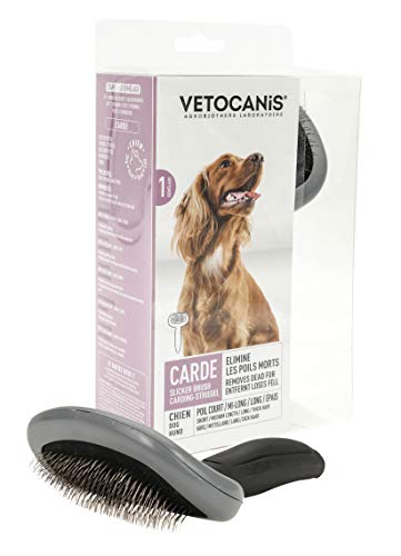 Vetocanis Hundebürste, großes Modell von VETOCANIS