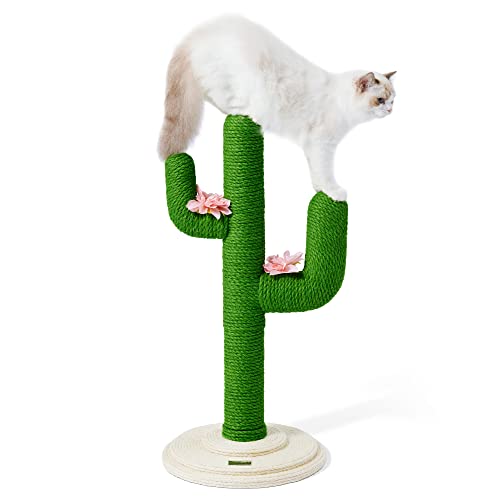 VETRESKA 80 cm großer Kratzbaum mit Sisalseil, Katzenkratzbaum Kaktus für junge und ausgewachsene Katzen von VETRESKA