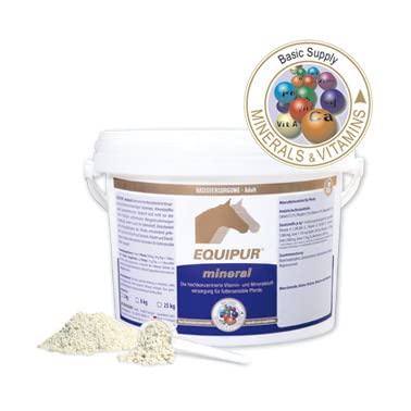 Vetripharm Equipur Mineral 3 kg Pulver von Equipur