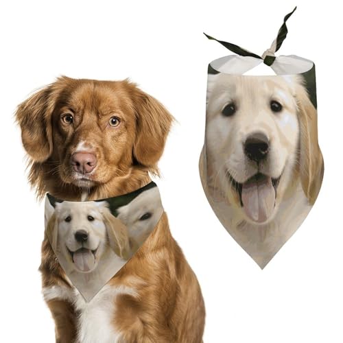 Golden Retriever Hundehalstuch, dreieckig, waschbar, Polyester, niedliches Haustier-Bandana für mittelgroße und große Hunde, Welpen und Katzen von VFMKT