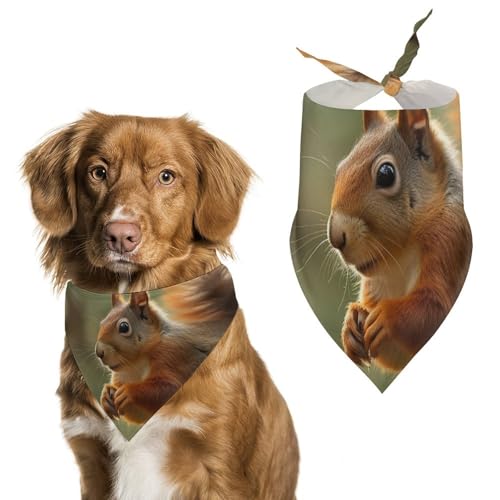 Hundehalstuch, Dreieckstuch mit Eichhörnchen-Motiv, waschbar, Polyester, niedliches Haustier-Bandana für mittelgroße und große Hunde, Welpen und Katzen von VFMKT