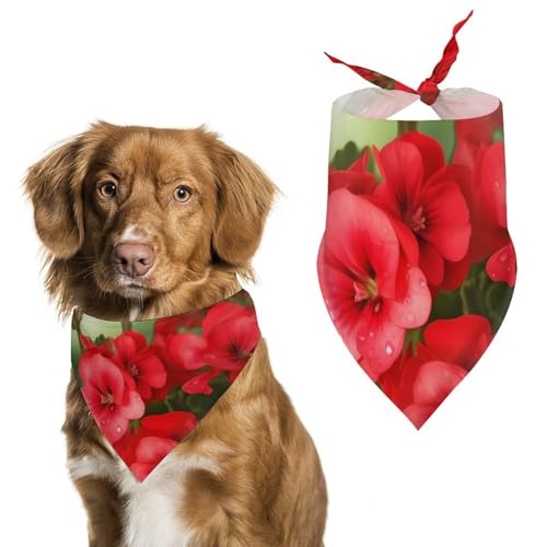 Hundehalstuch, Dreieckstuch mit roten Geranien, waschbar, Polyester, niedliches Haustier-Bandana für mittelgroße und große Hunde, Welpen und Katzen Hundehalstuch, Dreieckstuch mit roten Geranien, waschbar, Polyester, niedliches Haustier-Bandana für mittelgroße und große Hunde, Welpen und Katzen von VFMKT