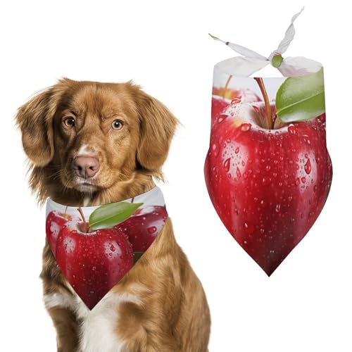 Hundehalstuch, dreieckig, waschbar, Polyester, niedliches Haustier-Bandana für mittelgroße und große Hunde, Welpen und Katzen, Rot Hundehalstuch, dreieckig, waschbar, Polyester, niedliches Haustier-Bandana für mittelgroße und große Hunde, Welpen und Katzen, Rot von VFMKT