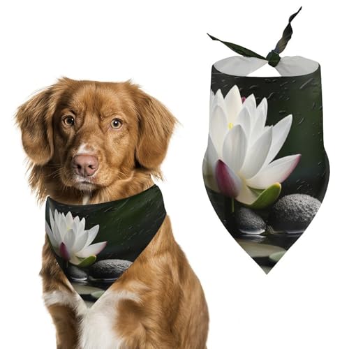 Hundehalstuch, dreieckig, waschbar, Polyester, niedliches Haustier-Bandana für mittelgroße und große Hunde, Welpen und Katzen Hundehalstuch, dreieckig, waschbar, Polyester, niedliches Haustier-Bandana für mittelgroße und große Hunde, Welpen und Katzen von VFMKT