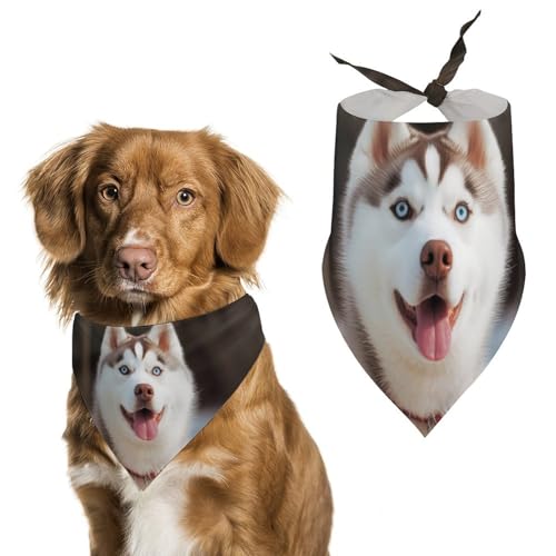 Husky Piquant Hundehalstuch, dreieckig, waschbar, Polyester, niedliches Haustier-Bandana für mittelgroße und große Hunde, Welpen und Katzen Husky Piquant Hundehalstuch, dreieckig, waschbar, Polyester, niedliches Haustier-Bandana für mittelgroße und große Hunde, Welpen und Katzen von VFMKT