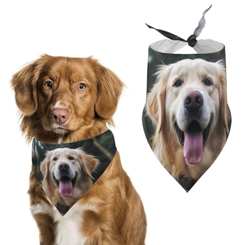 Lustiges Golden Retriever Hundehalstuch, dreieckig, waschbar, Polyester, niedliches Haustier-Bandana für mittelgroße und große Hunde, Welpen und Katzen von VFMKT