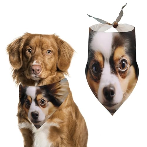Papillon Hundehalstuch, dreieckig, waschbar, Polyester, niedliches Haustier-Bandana für mittelgroße und große Hunde, Welpen und Katzen von VFMKT