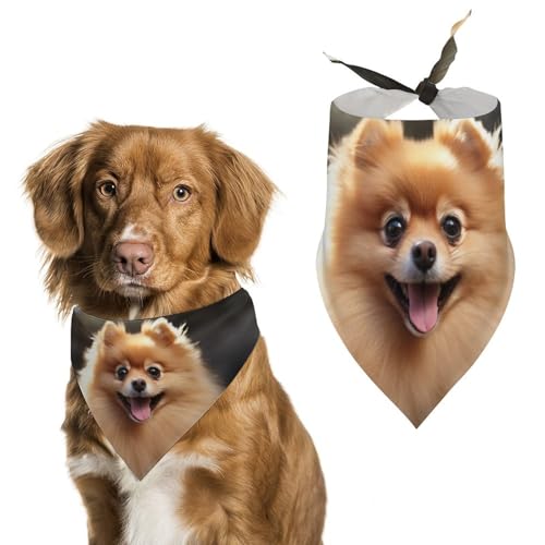 Pommersche Hundehalstuch, Dreieckstuch für Hunde, waschbar, Polyester, niedliches Haustier-Bandana für mittelgroße und große Hunde, Welpen und Katzen Pommersche Hundehalstuch, Dreieckstuch für Hunde, waschbar, Polyester, niedliches Haustier-Bandana für mittelgroße und große Hunde, Welpen und Katzen von VFMKT
