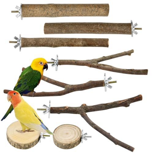VGECEE 8 Stück Vogelspielzeug Holz Natur Sitzstangen Wellensittich Sitzstangen Naturholz Vogel Sitzstangen Spielzeug Vogelständer aus Holz Vogelkäfig Zubehör ür Wellensittich Kanarienvogel VGECEE 8 Stück Vogelspielzeug Holz Natur Sitzstangen Wellensittich Sitzstangen Naturholz Vogel Sitzstangen Spielzeug Vogelständer aus Holz Vogelkäfig Zubehör ür Wellensittich Kanarienvogel von VGECEE