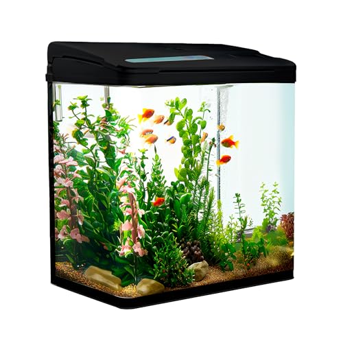 VIALIA Aquarium Komplettset mit LED-Beleuchtung, Pumpe und Filter, 30x20x32 cm, 18 Liter, Schwarz, Glasbecken für Fische und Wasserpflanzen von VIALIA