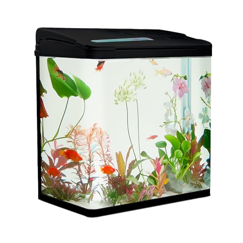 VIALIA Aquarium Komplettset mit LED-Beleuchtung, Pumpe und Filter, 38x24x43 cm, 30 Liter, Schwarz, Glasbecken für Fische und Wasserpflanzen von VIALIA