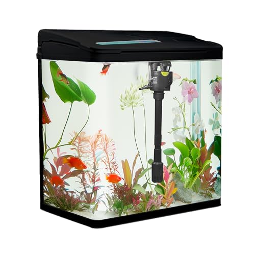 VIALIA Aquarium Komplettset mit LED-Beleuchtung, Pumpe und Filter, 38x24x43 cm, 30 Liter, Schwarz, Glasbecken für Fische und Wasserpflanzen von VIALIA