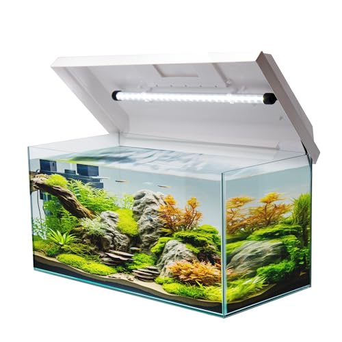 VIALIA Aquarium rechteckig mit Juwel LED Abdeckung weiß 60x30x30 cm, 54 Liter, Glasbecken für Fische und Wasserpflanzen, Aquarium Becken stoßfest VIALIA Aquarium rechteckig mit Juwel LED Abdeckung weiß 60x30x30 cm, 54 Liter, Glasbecken für Fische und Wasserpflanzen, Aquarium Becken stoßfest von VIALIA