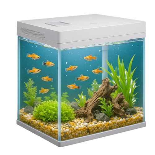 VIALIA Panorama Aquarium, 8 L, Aquarium Komplettset mit integrierter LED-Beleuchtung, Filterkammer und Futterklappe, 25x26x18cm, für Zierfische von VIALIA