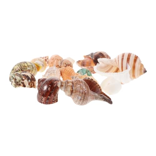 15 Stück Teiliges Farbenfroher Muscheln Natürliche Dekoration für Aquarien für DIY Projekte Krabbenlebensräume Strandpartys und Vasenfüllungen für Süß und Salzwasserumgebungen 15 Stück Teiliges Farbenfroher Muscheln Natürliche Dekoration für Aquarien für DIY Projekte Krabbenlebensräume Strandpartys und Vasenfüllungen für Süß und Salzwasserumgebungen von VICASKY
