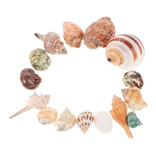 15 Stück Teiliges Gemischter Muscheln für Aquarien Küstenschalen als Dekoration für DIY Projekte und Tropische Strandthemen für Fischtank Accessoires 15 Stück Teiliges Gemischter Muscheln für Aquarien Küstenschalen als Dekoration für DIY Projekte und Tropische Strandthemen für Fischtank Accessoires von VICASKY