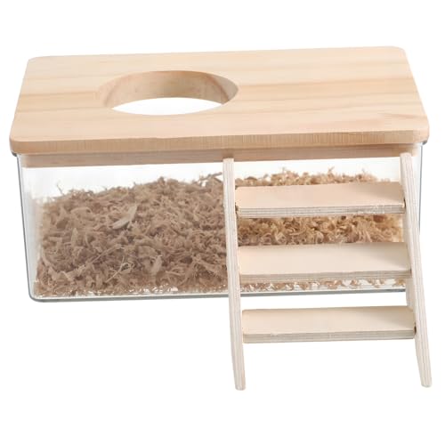 VICASKY 1 Set Hamster Bades Sandkasten Klare Hamster -grabkasten Kleines Tierhändler Chinchilla Gerbils Badschachtel Mit Leiter Und Deckel VICASKY 1 Set Hamster Bades Sandkasten Klare Hamster -grabkasten Kleines Tierhändler Chinchilla Gerbils Badschachtel Mit Leiter Und Deckel von VICASKY