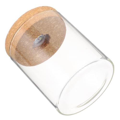 VICASKY 1 Stück Landschaftsflasche led ligts led-Light mini auarium hausdeko wohnraumdeko live Tank Zubehör für Terrarien runden klein dekorative Glasvase Mikrolandschaftshalter Holz Weiß von VICASKY