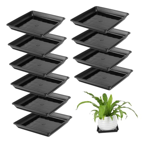 VICASKY 10 Stück Quadratische Pflanztöpfe Untersetzer Kunststoff Schwarz für Garten und Innenräume Schützt Oberflächen und Hält Pflanzen VICASKY 10 Stück Quadratische Pflanztöpfe Untersetzer Kunststoff Schwarz für Garten und Innenräume Schützt Oberflächen und Hält Pflanzen von VICASKY
