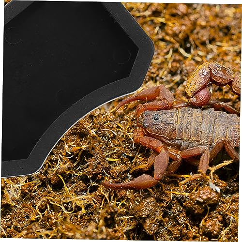 VICASKY 10 Stück Teiliges Reptilien Futternapf aus Kunststoff Kleine Imitationshöhlen für Eidechsen Schildkröten und Spinnen Leicht und Platzsparend Geeignet als Versteck und Sonnenbad von VICASKY