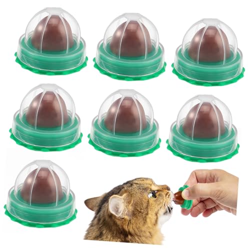 VICASKY 10Stücke Katzenminze Lutscher Katzen Snacks Katzenminze Ball für Katzen Leckerlis mit Funktion Zufälliger Geschmack für Katzen von VICASKY