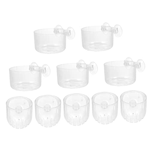 VICASKY 10Stücke Teiliges Wasserpflanzenhalter Acryl für Aquarien mit Saugnäpfen Design und Langlebigem Material für Dekoration und Pflanzenanzucht VICASKY 10Stücke Teiliges Wasserpflanzenhalter Acryl für Aquarien mit Saugnäpfen Design und Langlebigem Material für Dekoration und Pflanzenanzucht von VICASKY