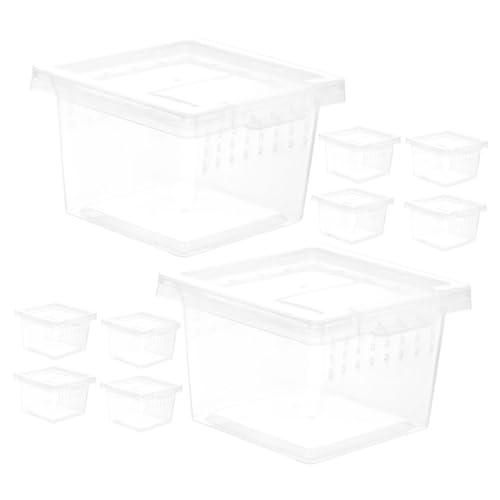 VICASKY 10Stücke Transparente Futterbox für Insekten und Kleine Reptilien Langlebige Transportbehälter für Spinnen Geckos und Eidechsen zu Reinigen und Atmungsaktiv VICASKY 10Stücke Transparente Futterbox für Insekten und Kleine Reptilien Langlebige Transportbehälter für Spinnen Geckos und Eidechsen zu Reinigen und Atmungsaktiv von VICASKY
