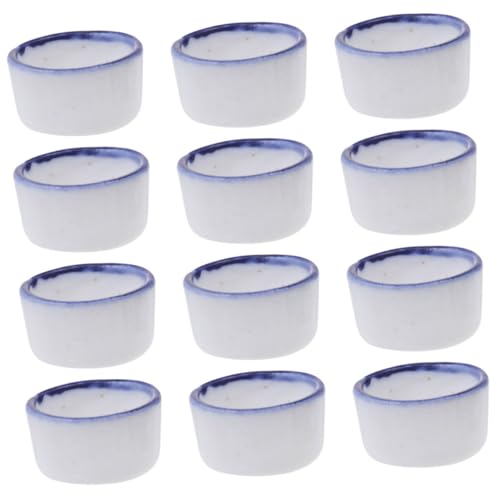 VICASKY 12 Stück Teiliges Mini Wassernapf für Spinnen und Skorpione Keramische Futterschalen für Reptilien Transparentes Design Vielseitig Einsetzbar Platzsparend Geeignet für Verschiedene von VICASKY