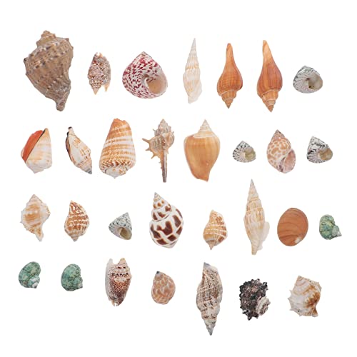 VICASKY 1Satz Aquarium Dekoration mit Muscheln für Fischtank Conch Ornamente Sicher für Wasserlebewesen für Heimdekoration und von VICASKY