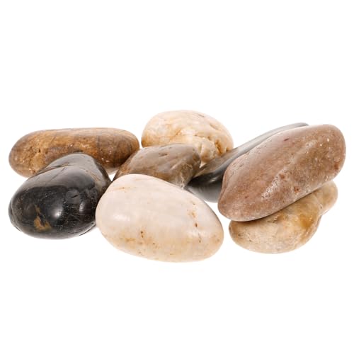 VICASKY 1Satz Aquarium Kieselsteine Naturkiesel Für Pflanzen Und Dekoration Steine Für Aquarien Pflanzentöpfe Und Garten Glatte Kanten Und Sicher von VICASKY