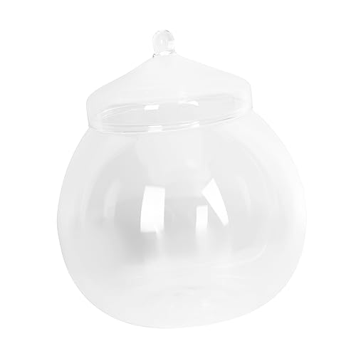 VICASKY 1Satz DIY Mikrolandschaft Flasche Mit Behälter Für Dekoration Und Heimgestaltung Für Moos Und Pflanzen Dekorativer Tischakzent von VICASKY