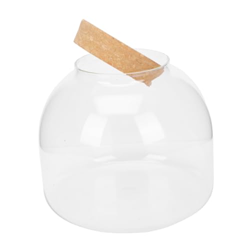 VICASKY 1Satz DIY Terrarium Ökologisches Pflanzengefäß Für Landschaften Dekorative Glasflasche Für Wohnkultur Und Schreibtischdekoration von VICASKY