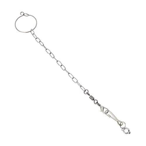 VICASKY 1Satz Fußkette für Vögel mit Cockatiel Fußring und Kette Langlebig und Praktisch für Papageien und Sittiche für Innen und Außennutzung VICASKY 1Satz Fußkette für Vögel mit Cockatiel Fußring und Kette Langlebig und Praktisch für Papageien und Sittiche für Innen und Außennutzung von VICASKY