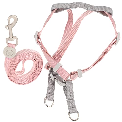 VICASKY 1Satz Hundegeschirr und Leine Set Verstellbar für Kleine und Mittelgroße Modisches Design für Outdoor Aktivitäten zu Handhaben von VICASKY