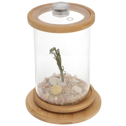 VICASKY 1Satz Kreatives Desktop Fischglas Transparentes Aquarium mit LED Beleuchtung für Bürozubehör und Wohnraumdekoration als für Fischliebhaber VICASKY 1Satz Kreatives Desktop Fischglas Transparentes Aquarium mit LED Beleuchtung für Bürozubehör und Wohnraumdekoration als für Fischliebhaber von VICASKY