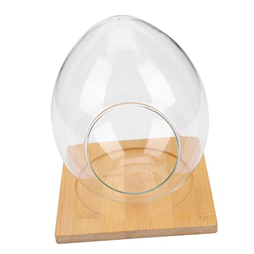 VICASKY 1Satz Micro Landschafts Glasvase DIY Terrarium Tischpflanzenbehälter Große Eiform Mit Unterlage Für Raumdekoration von VICASKY