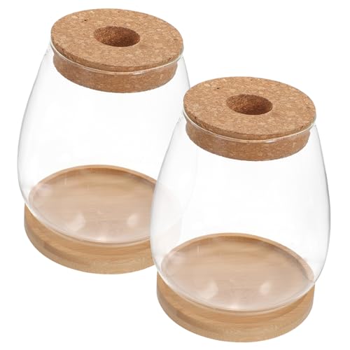 VICASKY 1Satz Terrariumglas Mit Holzdeckel Pflanzenterrarium Für Mikrolandschaften Für Kompakte Design Vielseitige Dekoration von VICASKY