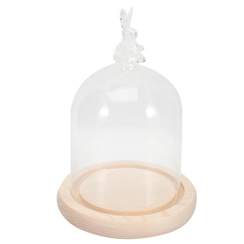 VICASKY 1Satz Transparente Glaskuppel Mit Natürlichem Holzsockel Glasabdeckung Für Blumenhandwerk Und Dekoration Für Tischdeko Für Hochzeiten von VICASKY
