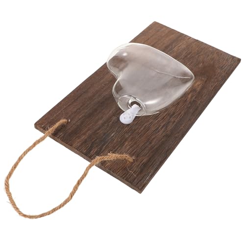 VICASKY 1Satz Wandmontierte Hydroponische Glasvase Transparente Blumentöpfe für Blumen Trockenblumen und Terrarien für Wohnkultur und zu Besonderen Anlässen von VICASKY