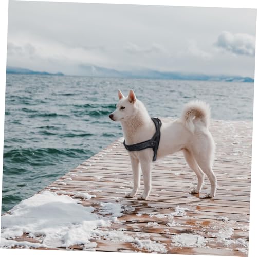VICASKY 1Stück Bequeme Hundeweste für Welpen Verstellbares Atmungsaktives Geschirr aus Strapazierfähigem Nylon für und Outdoor Aktivitäten mit Ihrem von VICASKY